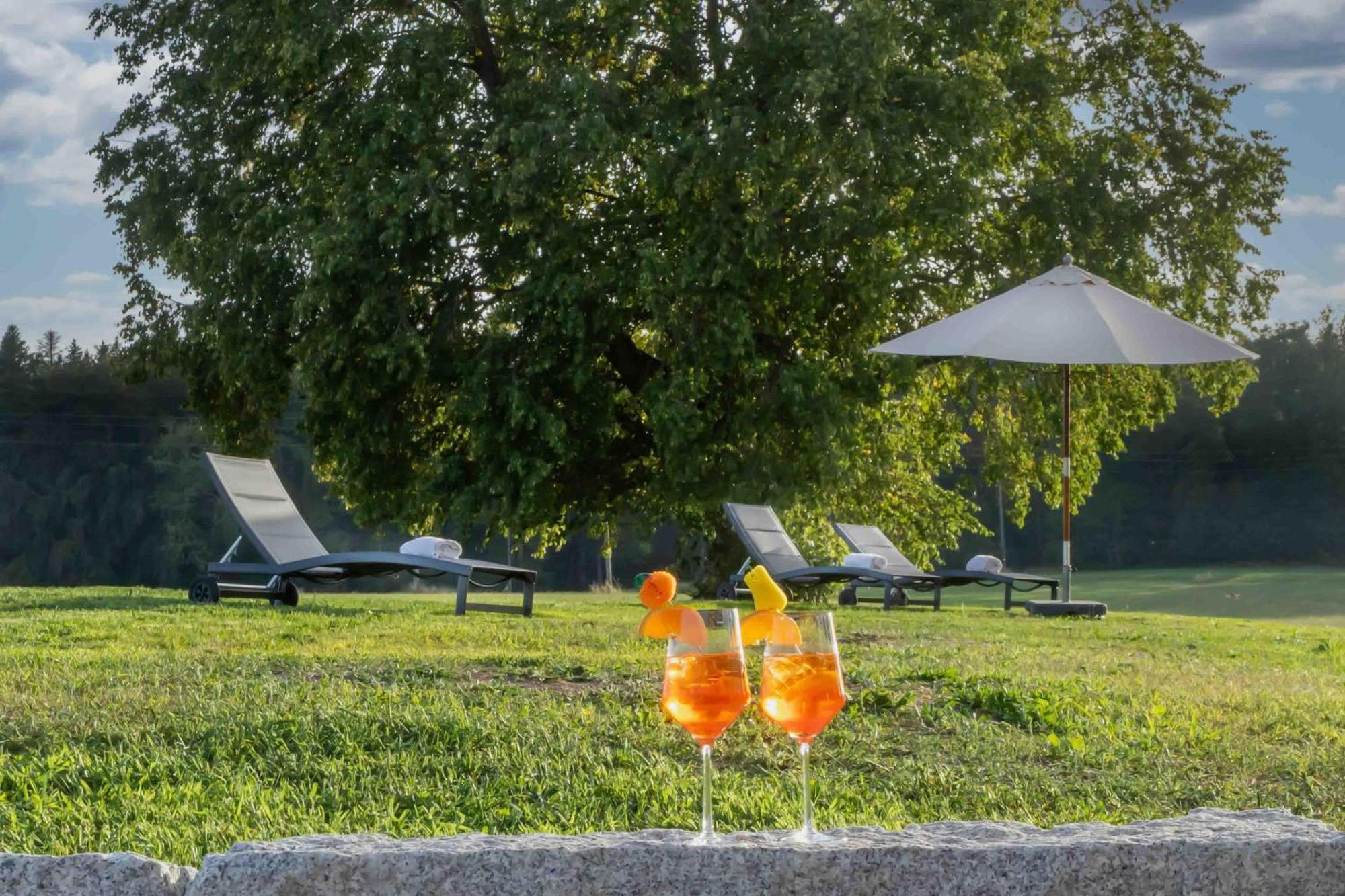 Wellnesshotel Sonnenhof & Sonnhalde Ühlingen-Birkendorf Extérieur photo